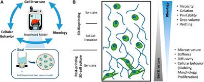 Influence of the physico-chemical bioink composition on the printability and cell biological properties in 3D-bioprinting of a liver tumor cell line